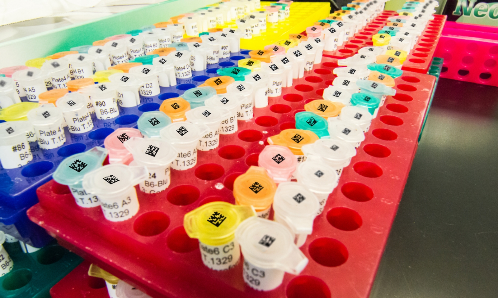 High Accuracy with Challenging Lab Barcodes